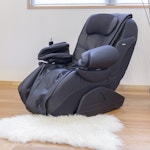 Bluebird Chalets Massage Chair