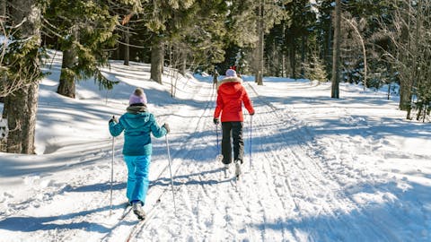 Cross Country Skiing in Hakuba