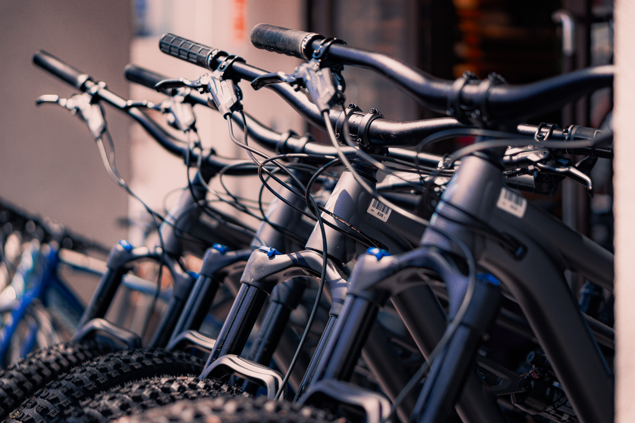 A row of rental bikes lined up ready to hire at a bike shop in Hakuba