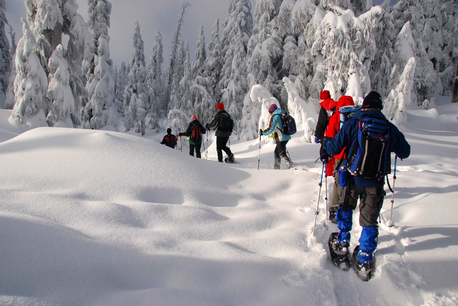 Snowshoes Tours